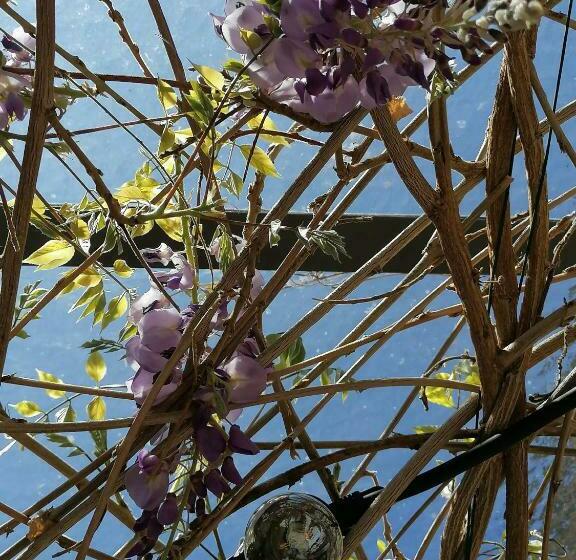 مبيت وإفطار L Antre Ami