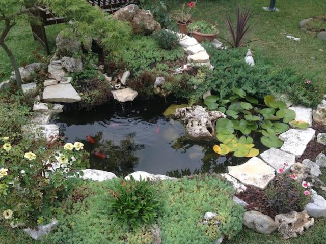 مبيت وإفطار La Casa Di Biba