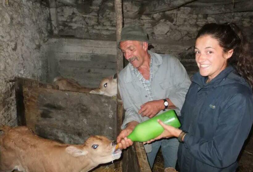 צימר Medieval Hamlet Malpertus