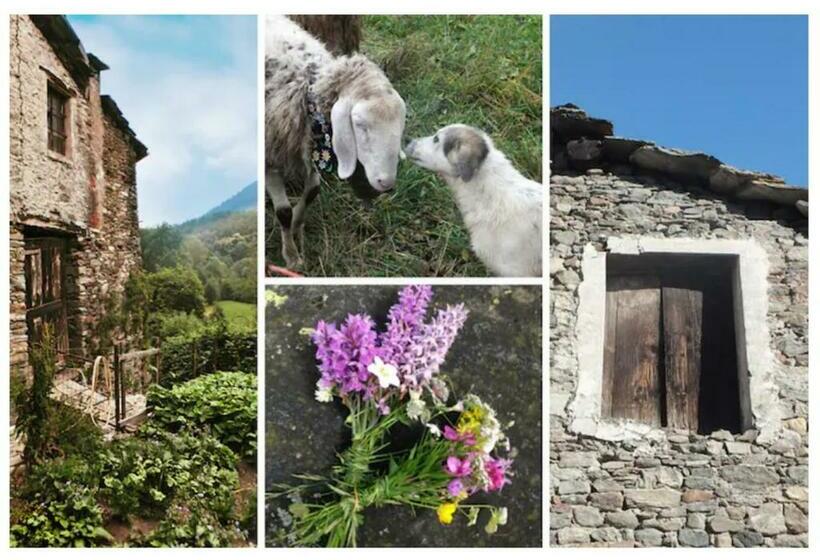 민박 Medieval Hamlet Malpertus