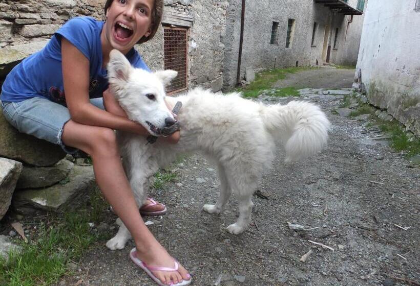 민박 Medieval Hamlet Malpertus