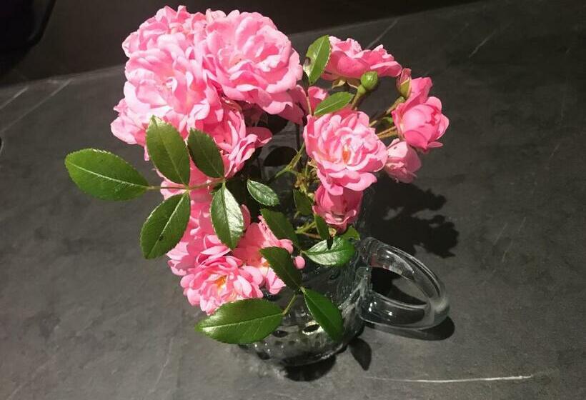 مبيت وإفطار Cocon De Douceur à Deux Pas De La Gare