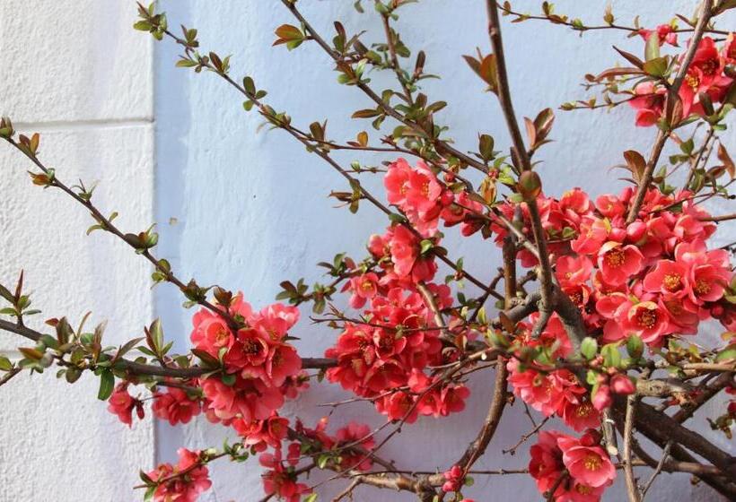 민박 Wanderlust Boutique Rooms