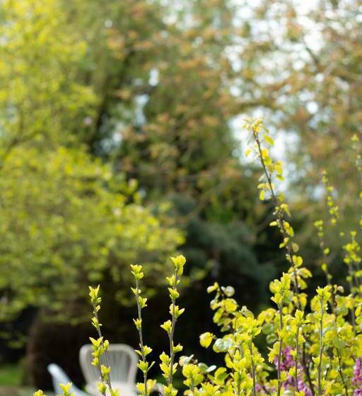 Bed & Breakfast Neeltje Soet