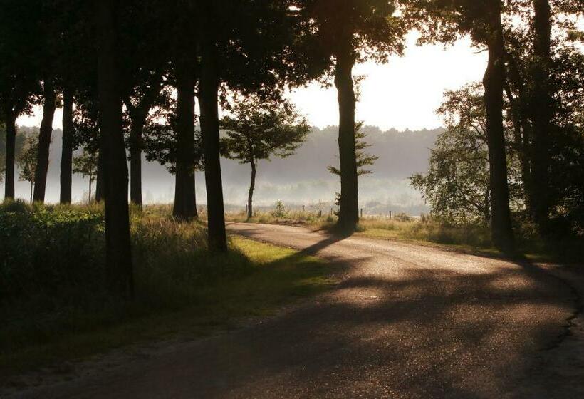 Bed & Breakfast Neeltje Soet