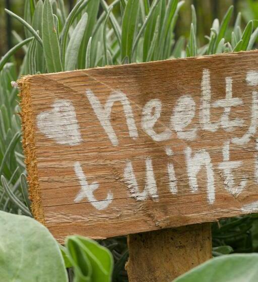 Bed & Breakfast Neeltje Soet