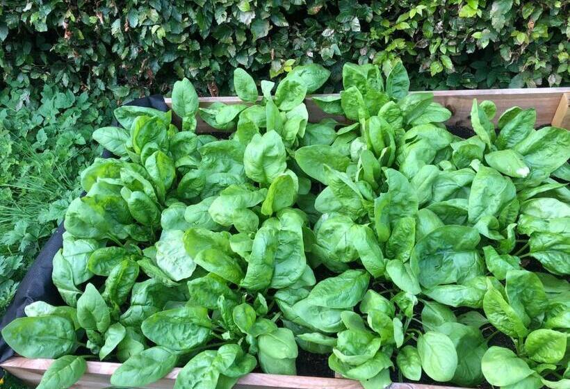 Foresters Lodge Bed And Breakfast, Near Loch Ness