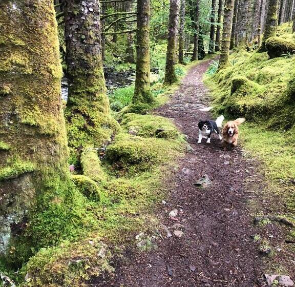 Foresters Lodge Bed And Breakfast, Near Loch Ness