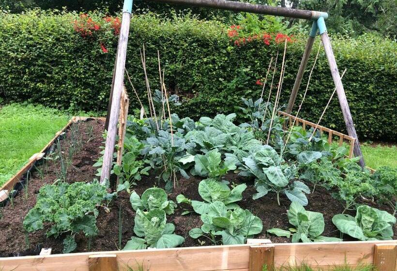 Foresters Lodge Bed And Breakfast, Near Loch Ness