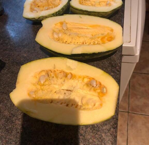 Foresters Lodge Bed And Breakfast, Near Loch Ness