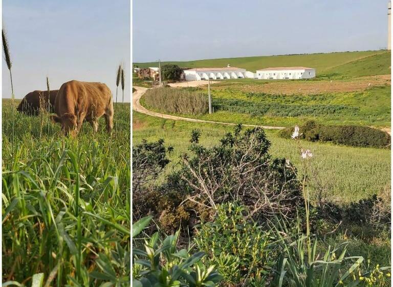 Отель Monte Bagão Turismo Rural