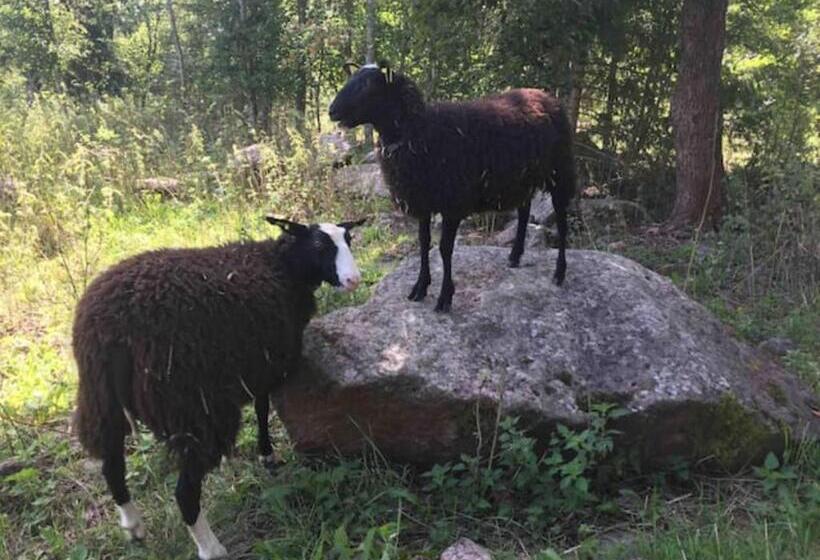 ホテル Niiralan Tila : Starlite Cabin