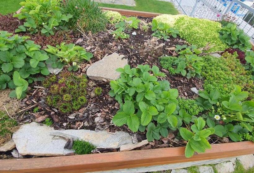 Magic Apartment Centre Mezonet