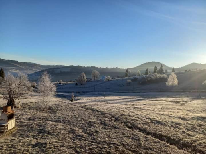 بنسيون Casa Lena  Vatra Dornei