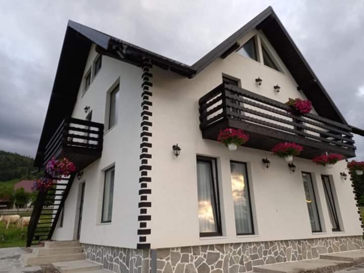 بنسيون Casa Lena  Vatra Dornei