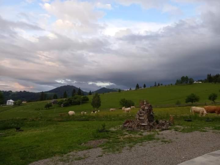 بنسيون Casa Lena  Vatra Dornei