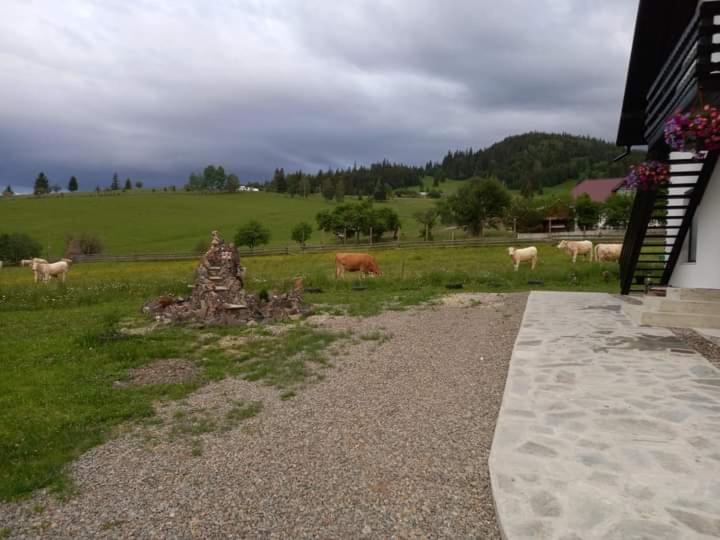 بنسيون Casa Lena  Vatra Dornei