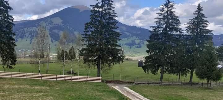 بنسيون Casa Lena  Vatra Dornei