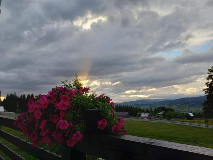 بنسيون Casa Lena  Vatra Dornei