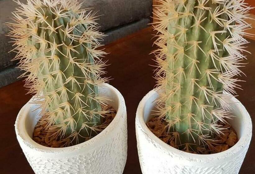 펜션 Kusile Guest House