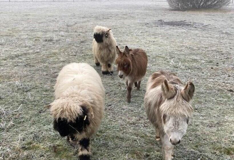 膳宿费 Le Clos Des Châteaux