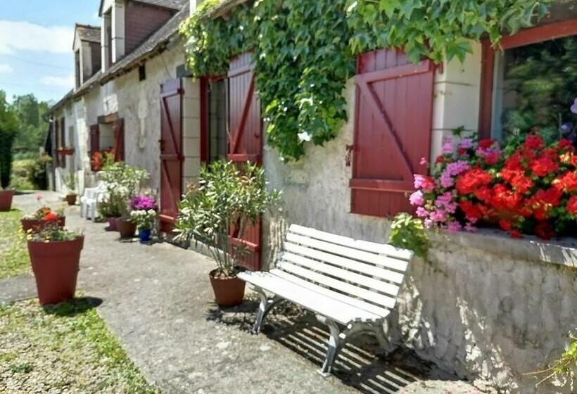 بنسيون Les Sureaux Du Cher