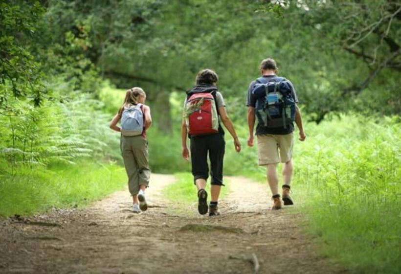 膳宿费 Stanza Con Terrazzo Vista Lago   Lakeholiday It