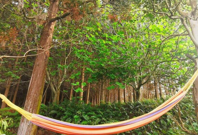 بنسيون The Handmade House Azores