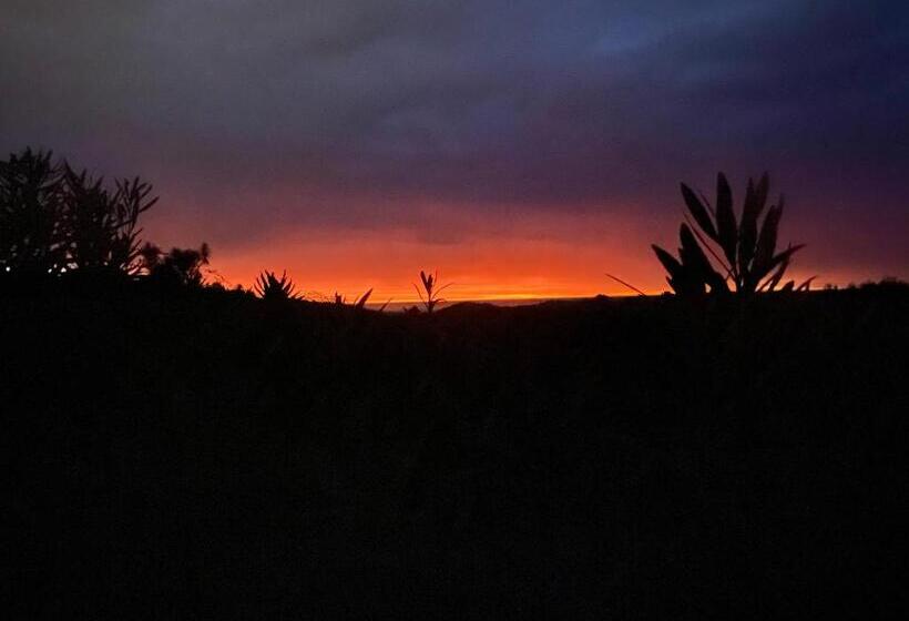 پانسیون The Willow Guest Suite