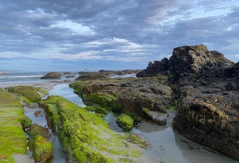 بنسيون The Willow Guest Suite