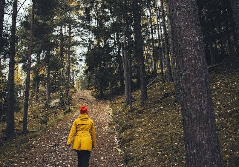 ペンション Vollsnes Gjestehus