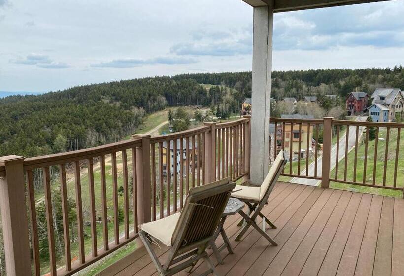 Remodeled Ski In Out   305 Soaring Eagle   Luxury!