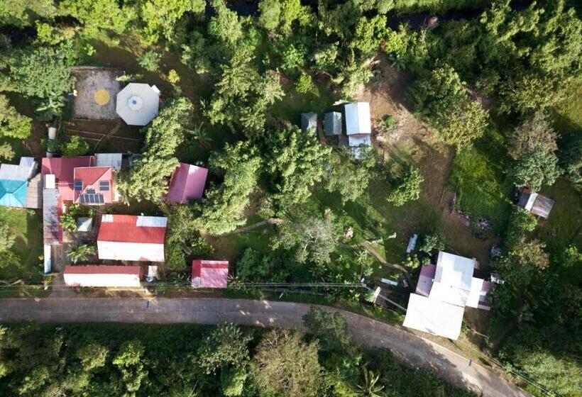 هاستل Blue Moon Guesthouse