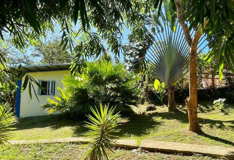 هاستل Blue Moon Guesthouse