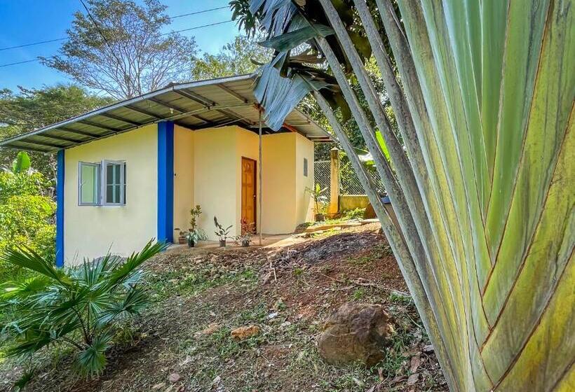 هاستل Blue Moon Guesthouse