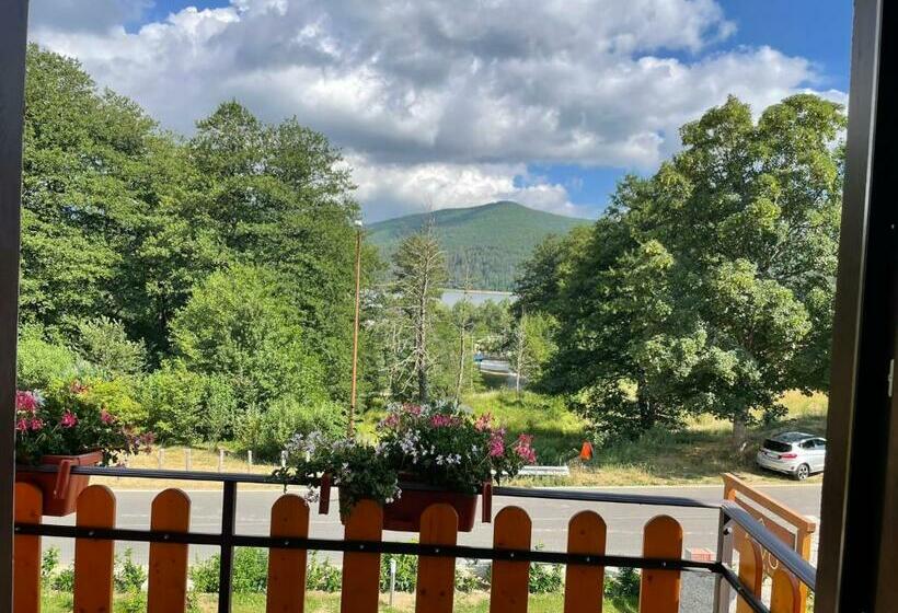 Arvo Residence Sila Lorica