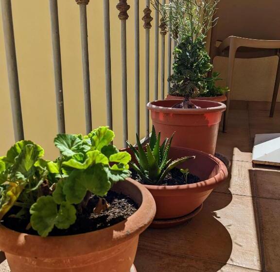 B&b A Casa Di Angela