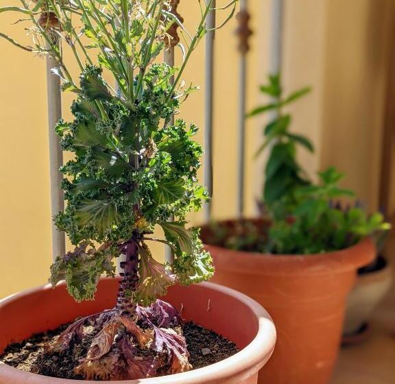 B&b A Casa Di Angela