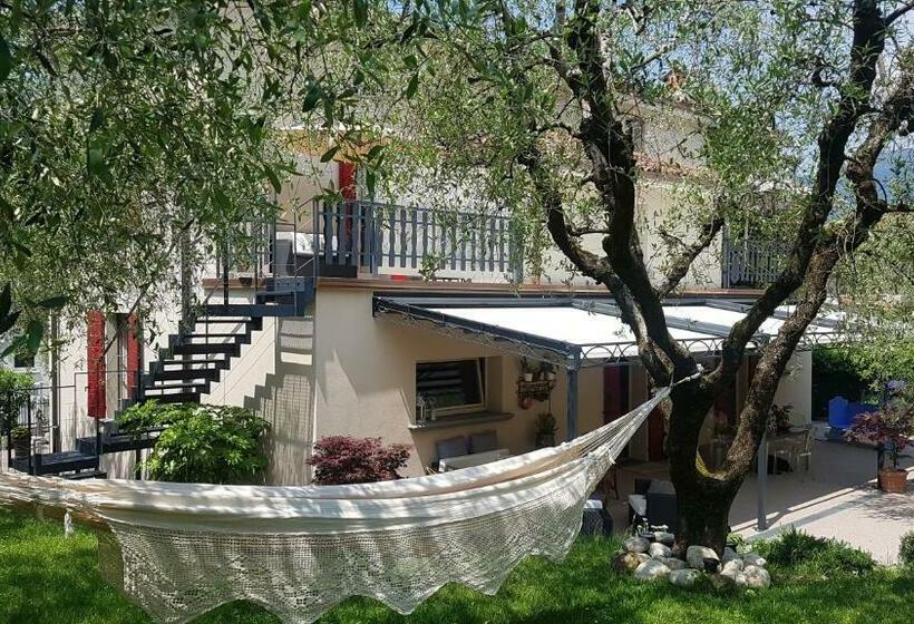 B&b Forsesiforseno