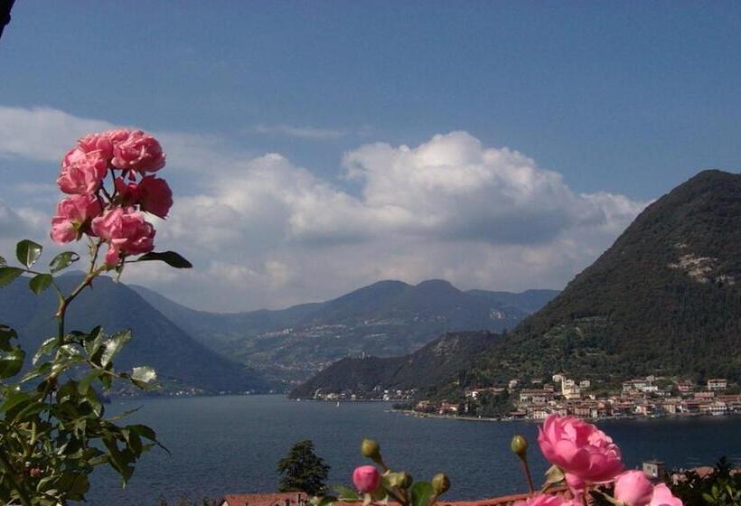 B&b Forsesiforseno