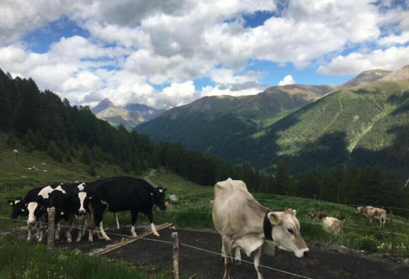 住宿加早餐  Alp Es Cha Dadour