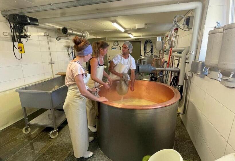 住宿加早餐  Alp Es Cha Dadour