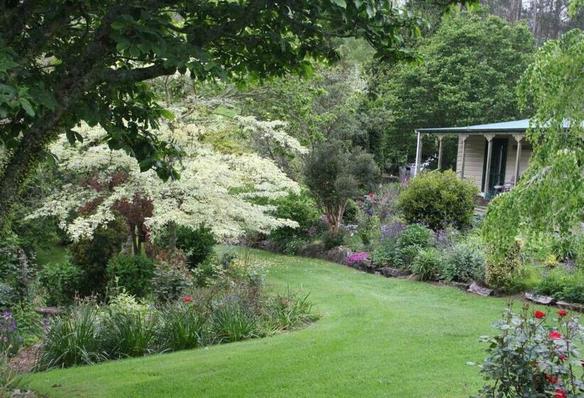 צימר Aramatai Gardens