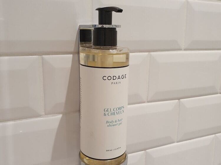 ベッドアンドブレックファースト Chez Pépé Merle Chambres D Hôtes Au Cœur De Paris