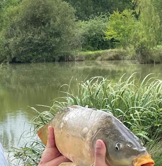 צימר Domaine Du Clos Henri