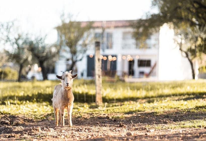 تختخواب و صبحانه Granja Da Cabrita