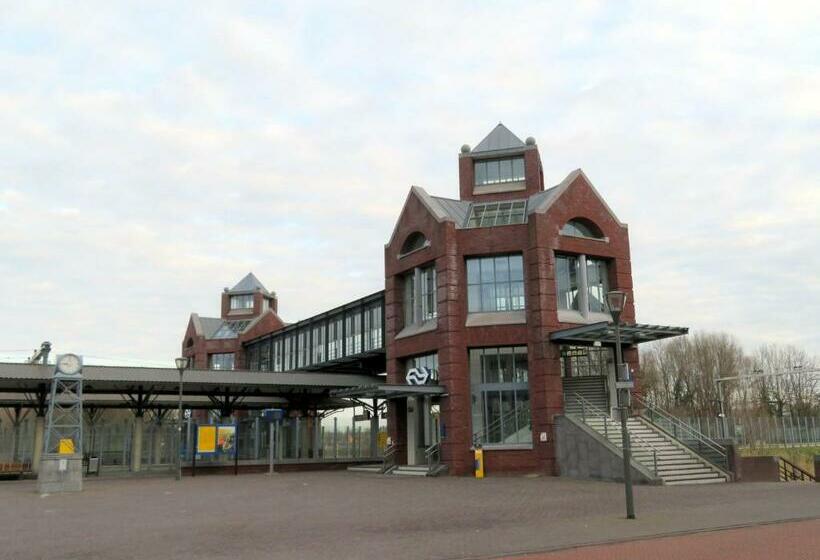 تختخواب و صبحانه Jacky S Place