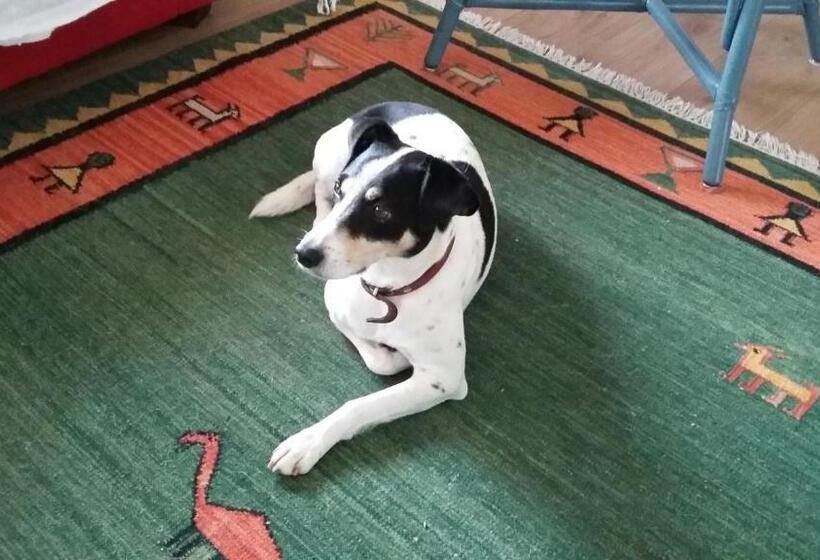 تختخواب و صبحانه Jacky S Place