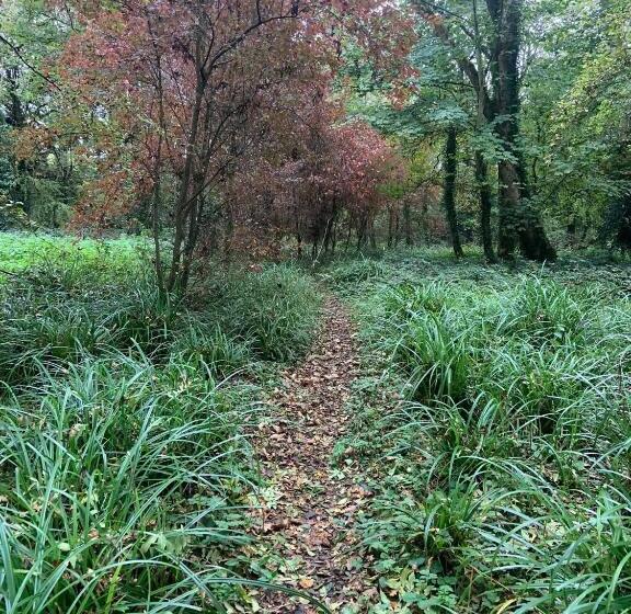 住宿加早餐 Lacken Millhouse And Gardens