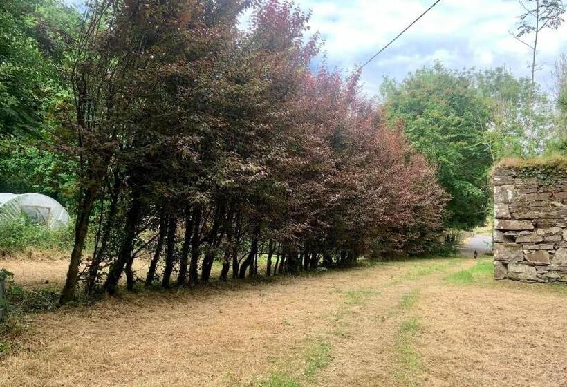 住宿加早餐 Lacken Millhouse And Gardens